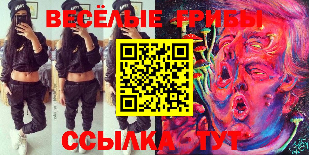 Псилоцибиновые грибы ЛСД  сколько стоит  Ижевск  Вход с VPN  Псилоцибиновые грибы MAGIC MUSHROOMS 